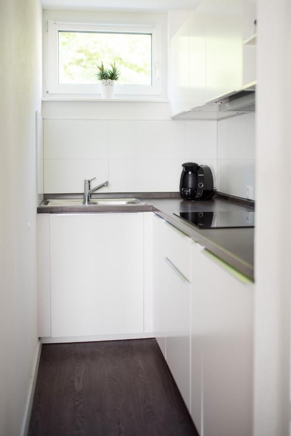 Keller Apartment Sulz am Neckar Eksteriør billede